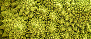 Fractal